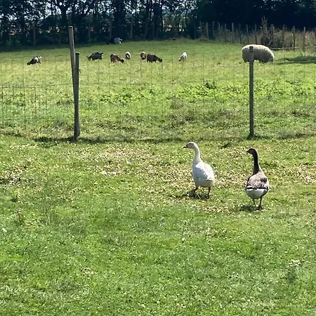 L'escapade Cosy Avec Et Mini Ferme *